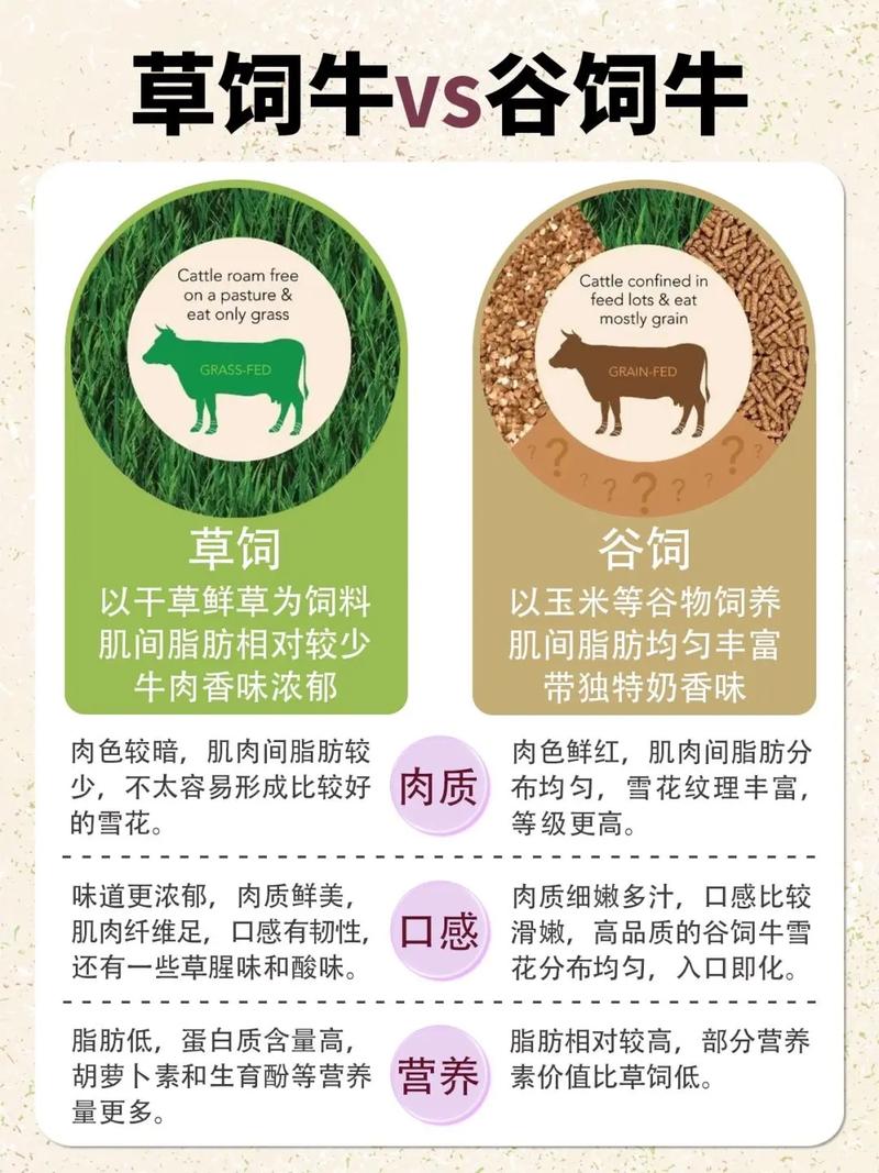 老牛嫩草与精二的区别