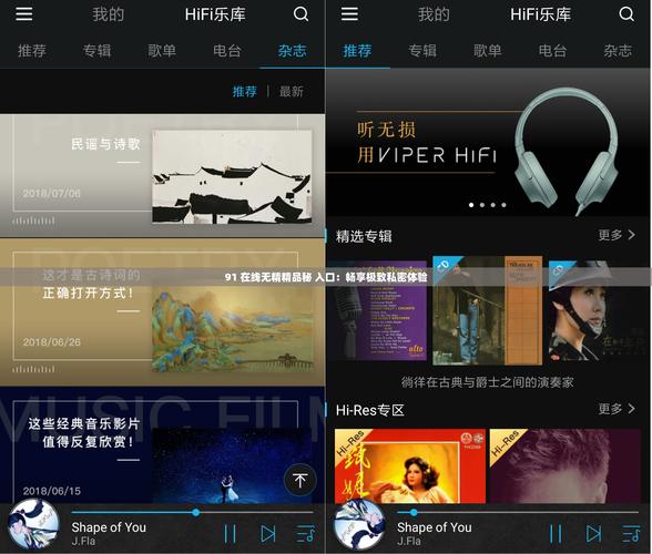 91在线无精精品秘 入口