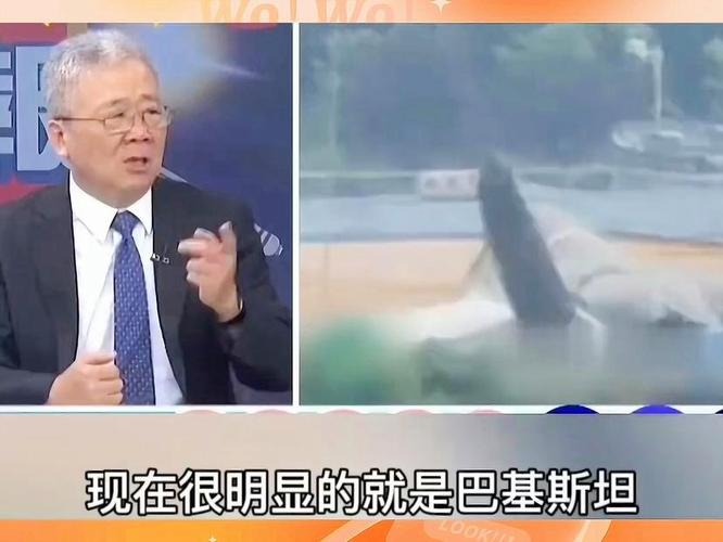 两个人生猴子全程无被子