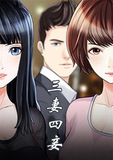 三妻四妾完整版在线观看