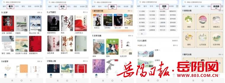 年轻的岳阳免费阅读