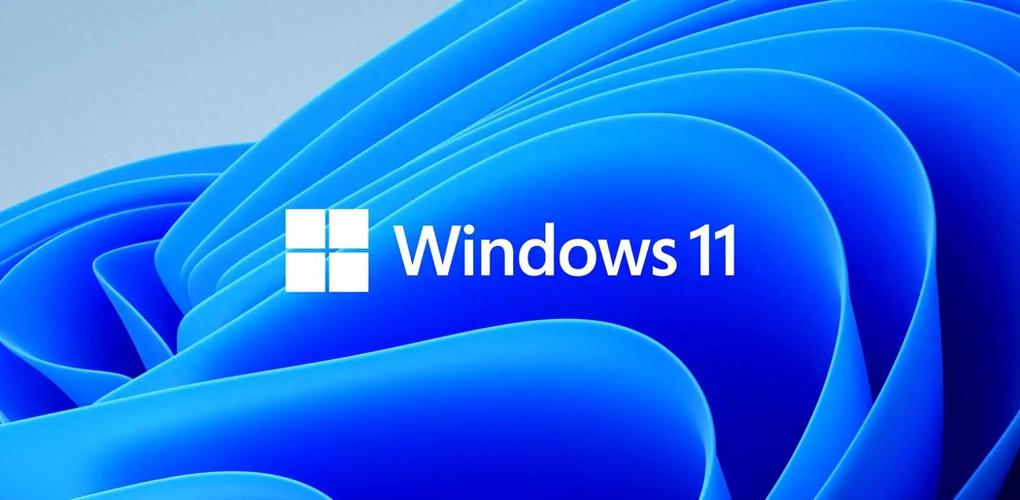 中国高清WINDOWS视频亮点