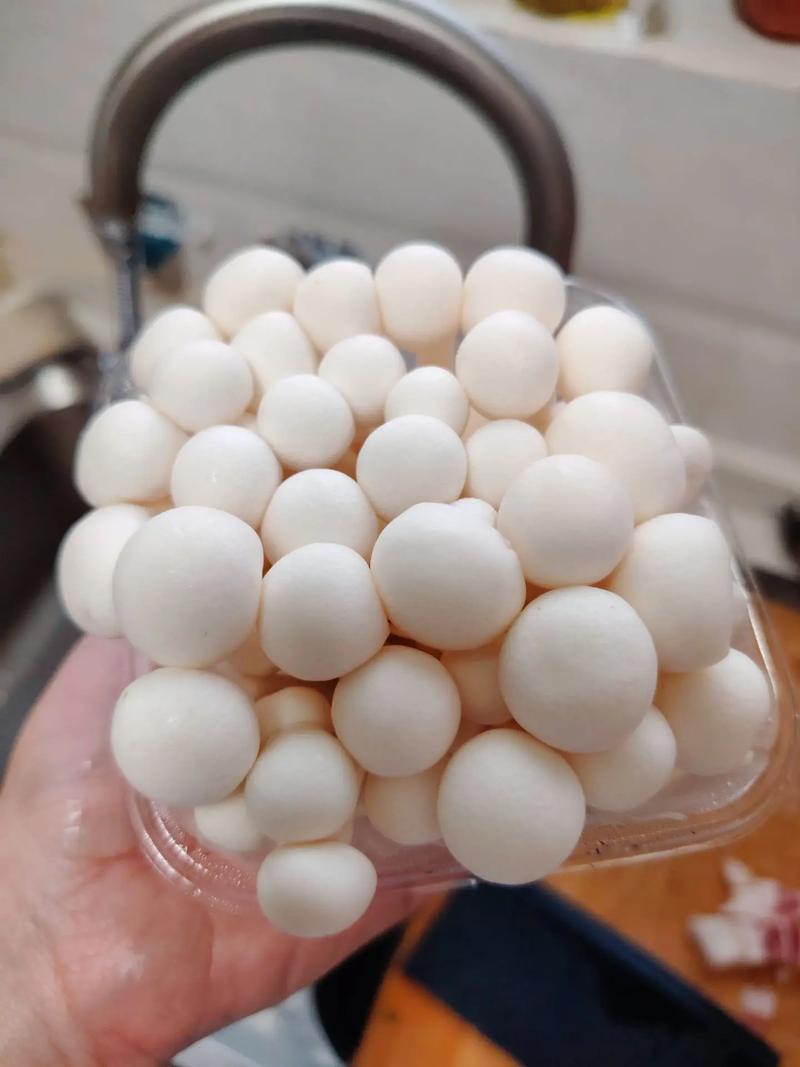 18流白浆小蘑菇