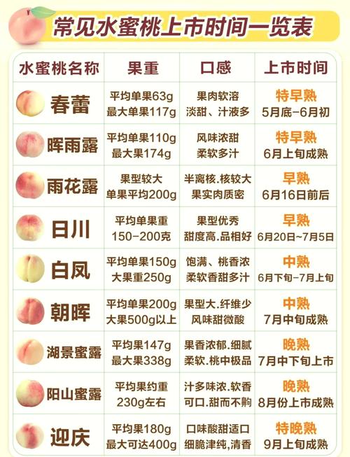 蜜桃精产品二三三区