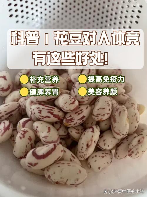 91豆花是国产还是进口
