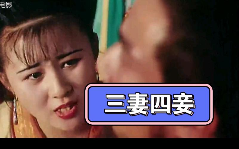 三妻四妾全集免费观看