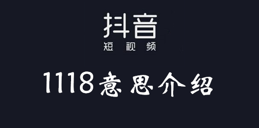 1118什么梗