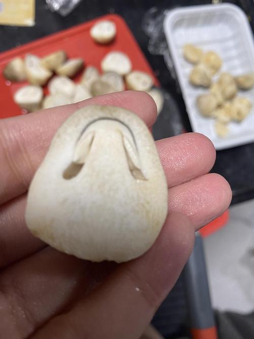 18流白浆小蘑菇