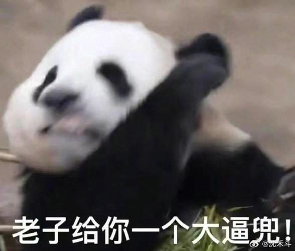 老子今天就要开你的包