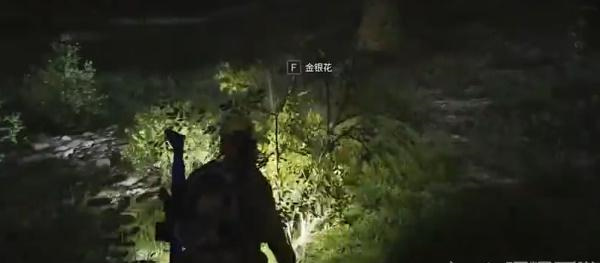 七日世界金银花详细获取方式