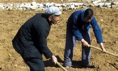 人啊一生啊就一堆堆坎坷是什么歌