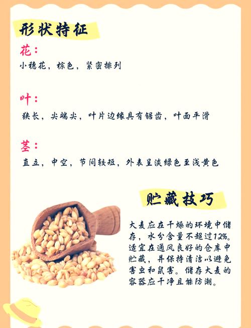 麦子互换背后的意义