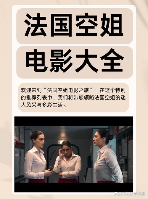 《法国空乘2》电影