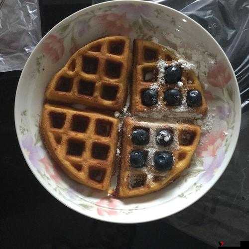 黑暗笔录华夫饼攻略,蓝莓华夫饼的奇妙作用与深度解析