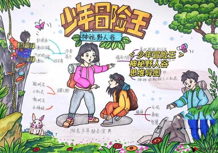 探索少年冒险王塞塔巫魂的5大核心技能与全面信息介绍