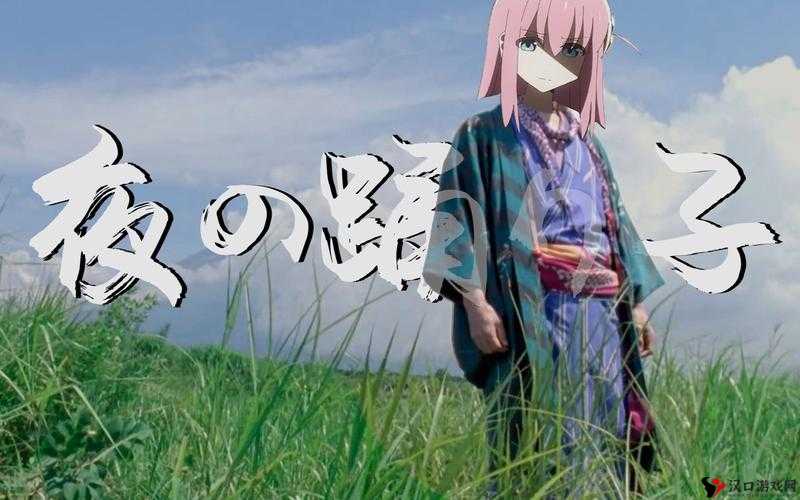 夜の踊りXX什么梗?夜の踊りXX梗介绍深度解析