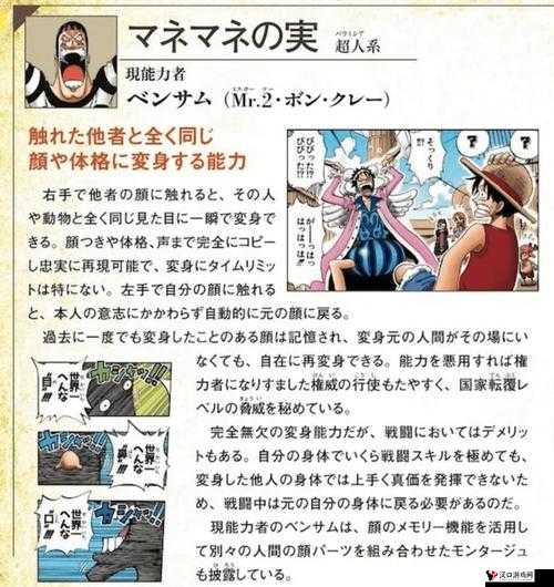 海贼王双生果实拥有着是谁?海贼王双生果实公布