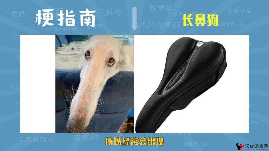 长鼻狗是什么梗?长鼻狗梗含义介绍及未来玩法革命预测