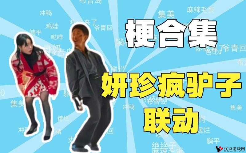 妍珍疯驴子什么梗?妍珍疯驴子介绍
