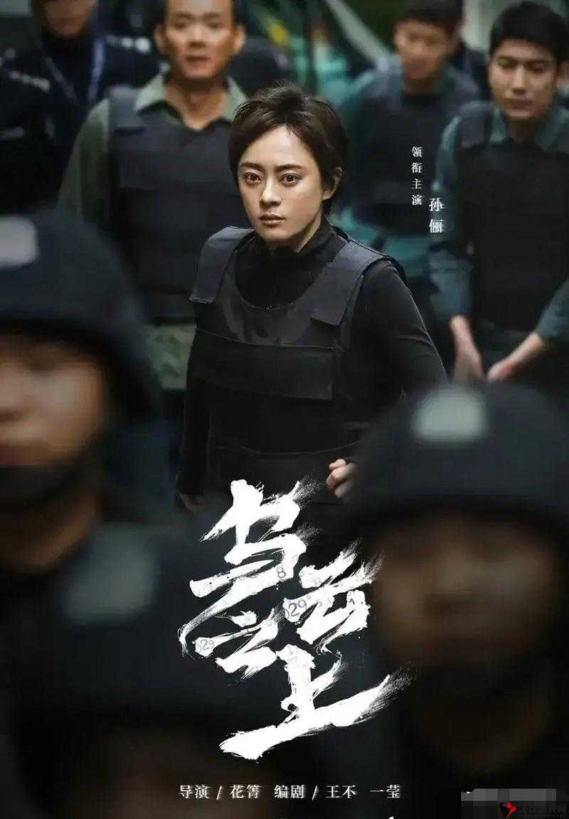 乌云之上演员表深度揭秘,演技派集结,共赴悬疑刑侦之旅