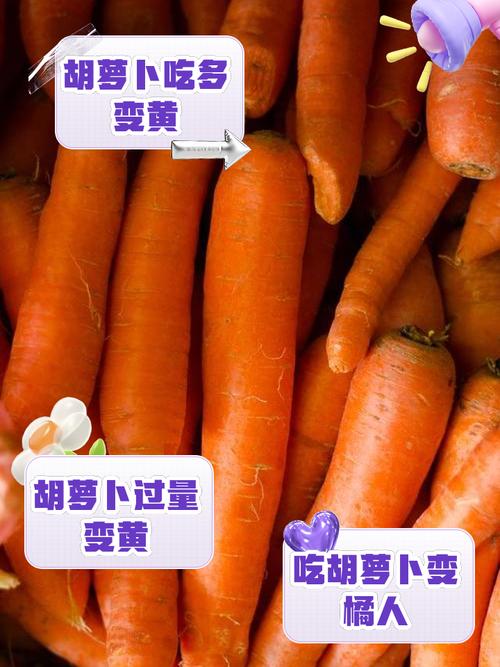 女的用胡萝卜用大头还是小头
