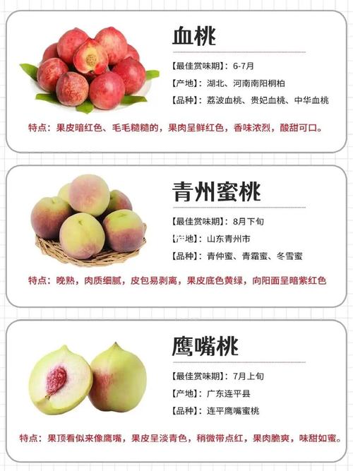 无人一区二区区别是什么红桃7