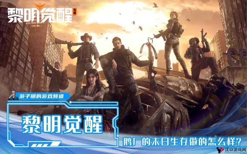 黎明觉醒B服与官服深度解析,互通性、特色及玩家体验