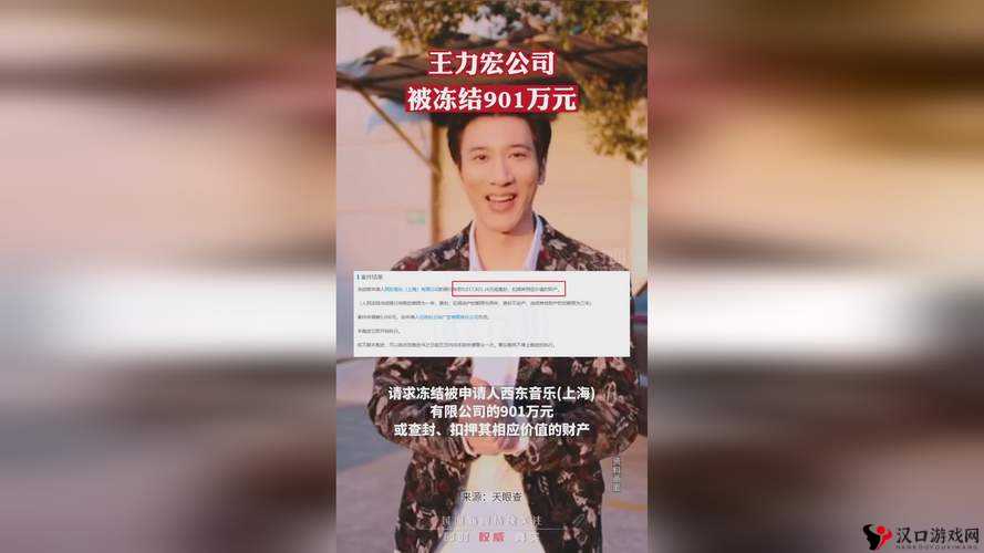 王力宏公司被冻结901万存款是怎么回事