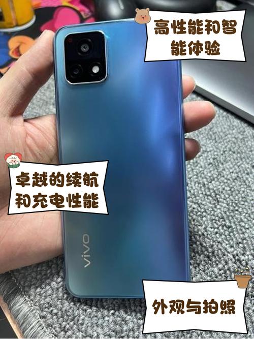 一级成色的y31s6标准版