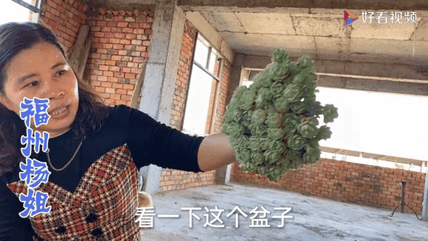 大肉大捧一进一出视频来了