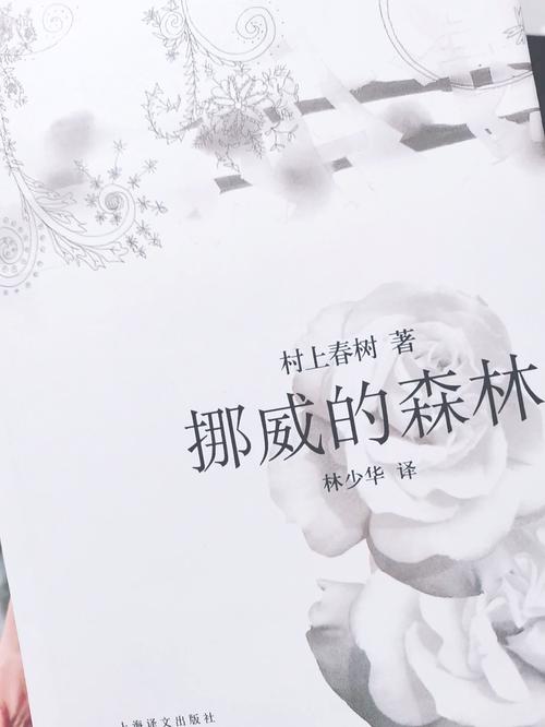 挪威的森林截了一段3分钟