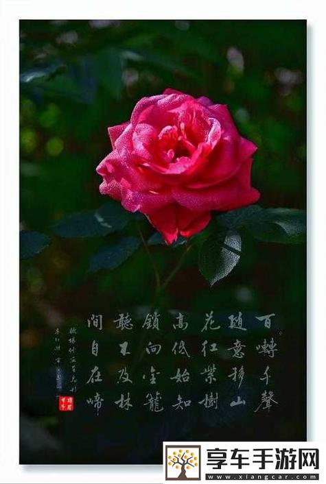 亭亭玉立国色天香四月天科普