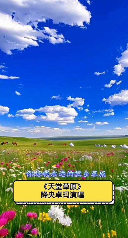 天堂草原WWE美国大片主题曲