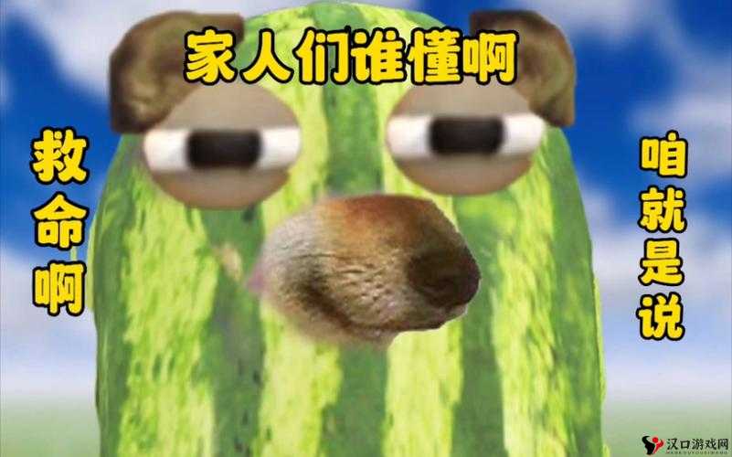 家人们谁懂啊表情包有哪些？家人们谁懂啊表情包分享