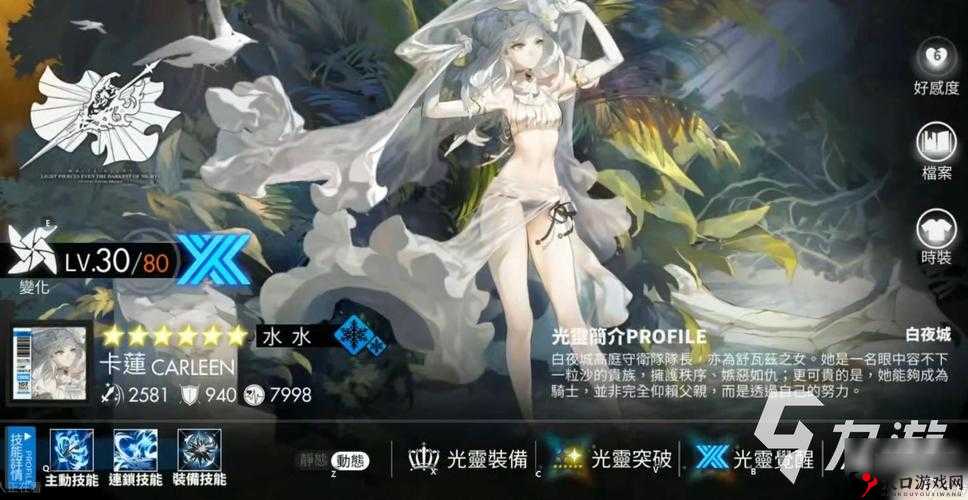 白夜极光属性解析及其在游戏资源管理中的重要性