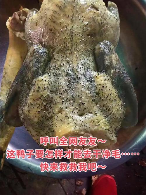 电影妈妈你真棒插曲快来救救我