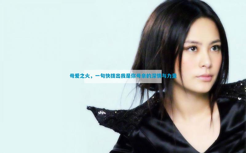 快拨出我是你母亲的歌曲播放