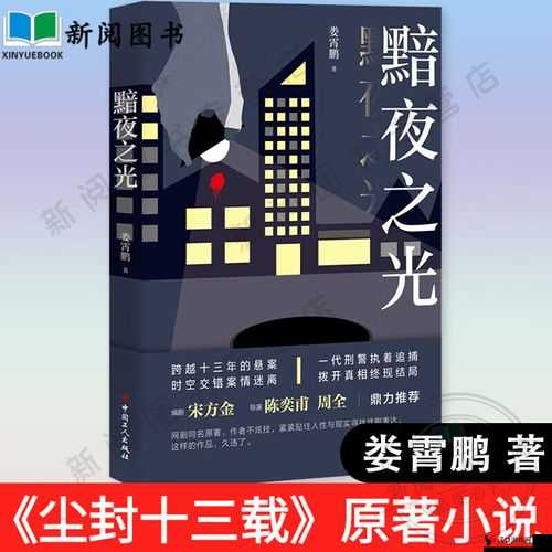 尘封十三载原著揭秘，娄霄鹏笔下的黯夜之光