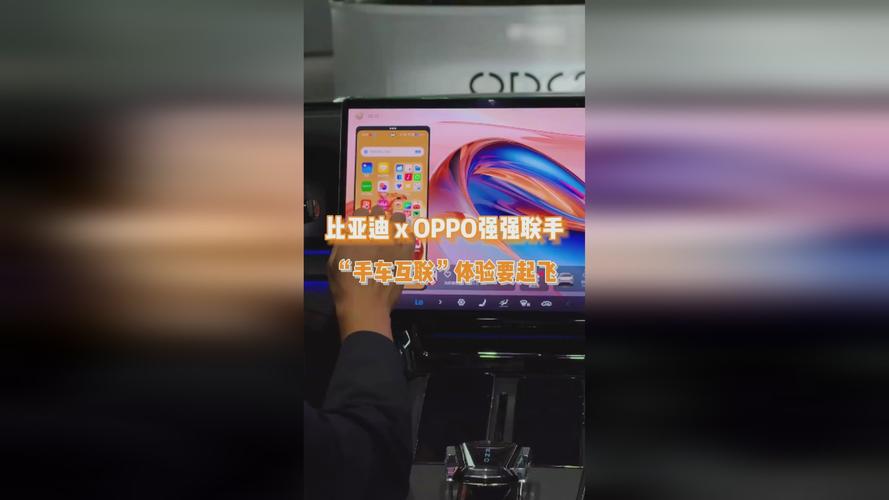W17.C-起草官网