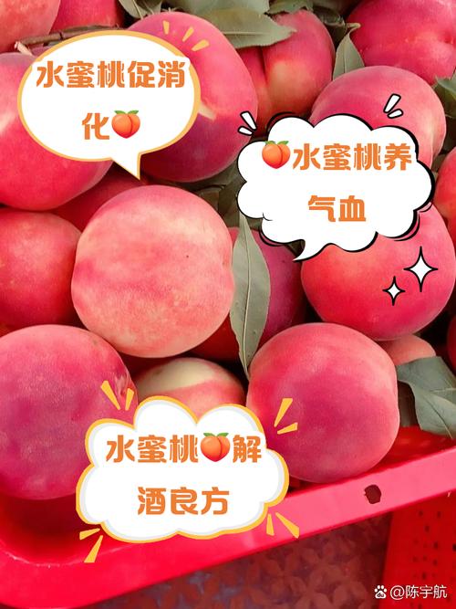 美丽的水蜜桃2最经典的一句