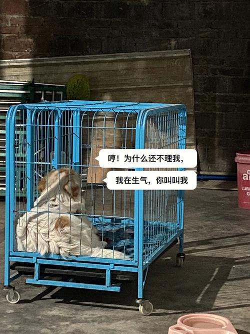 老牛嫩草与精二的区别
