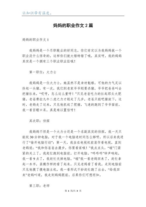 《妈**职业4》