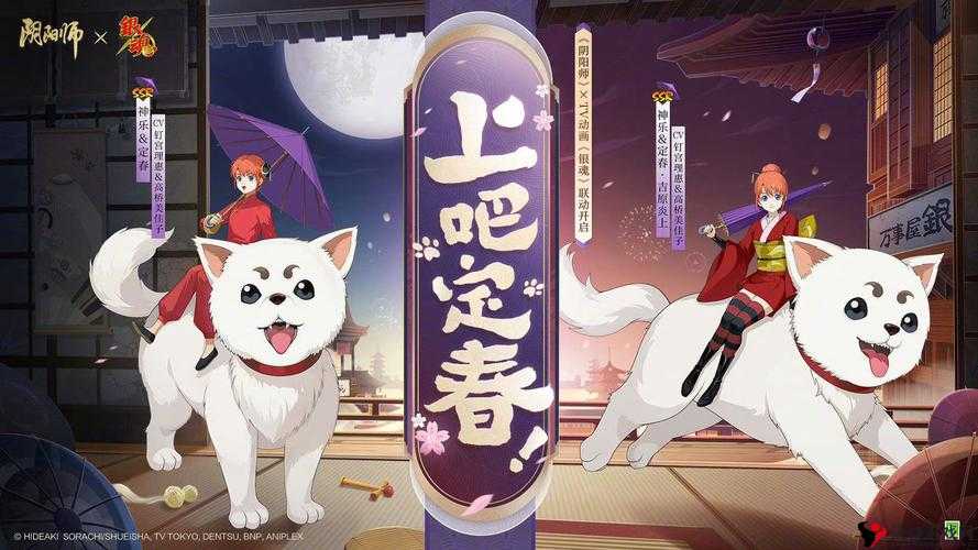 阴阳师神乐定春技能解析与资源管理优化策略