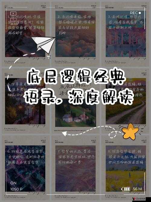 2023PEL春决赛攻略,底层逻辑与操作映射的深度剖析