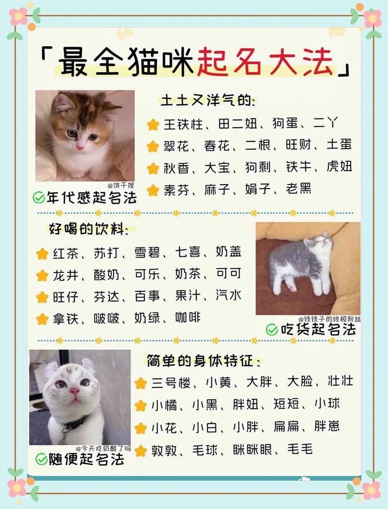 猫咪网名3336pt3