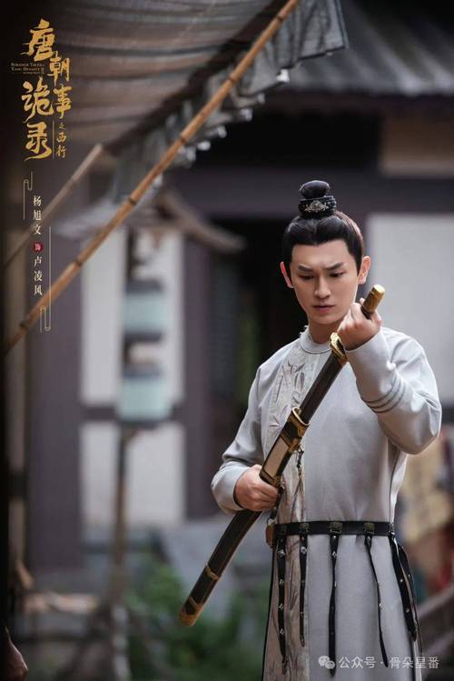 一杆长枪直入两扇门免费日剧
