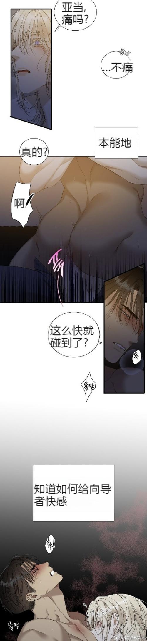 开荤之后校园h