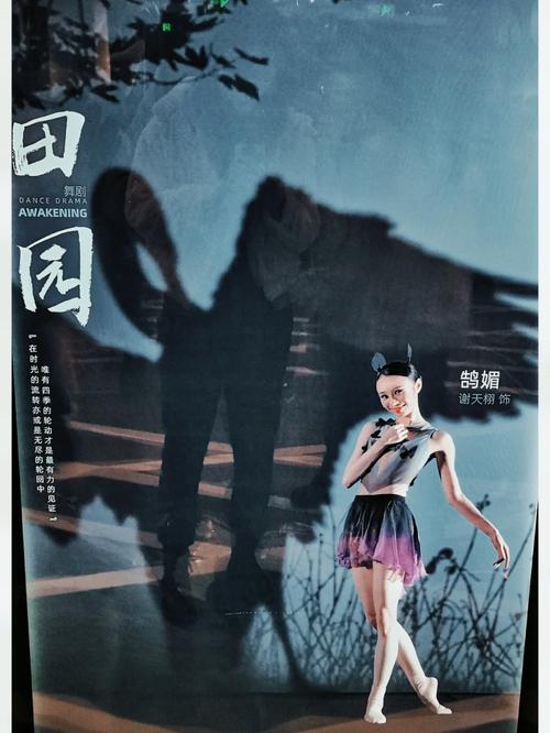 《肢体的绣感》意大利