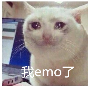 抖音网络用语emo是什么意思 它是什么梗怎么读