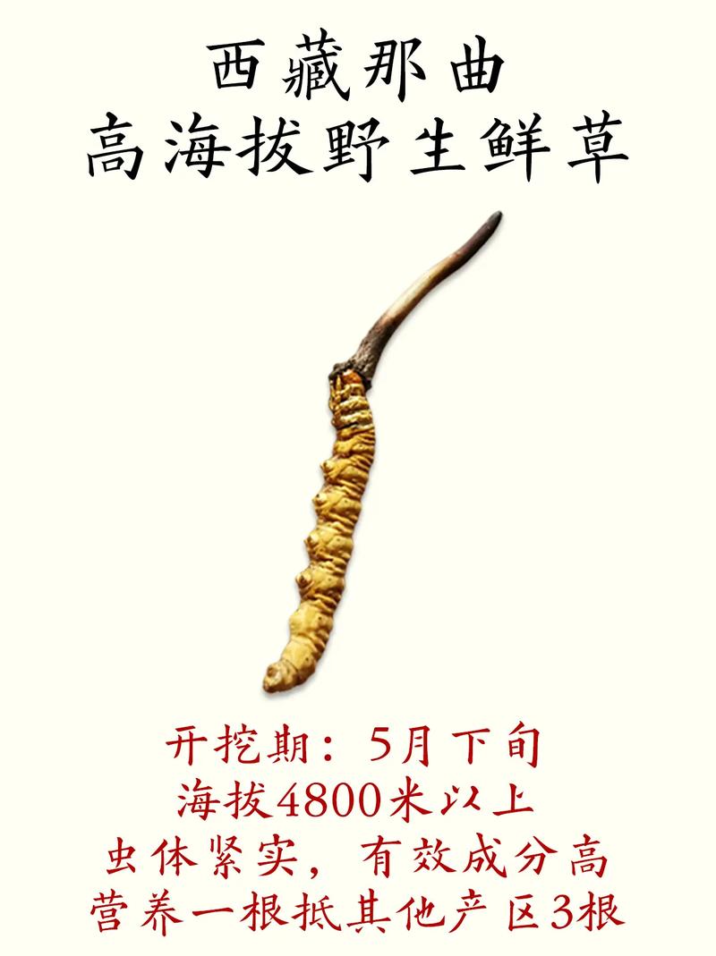 嫩草精产一二三产区